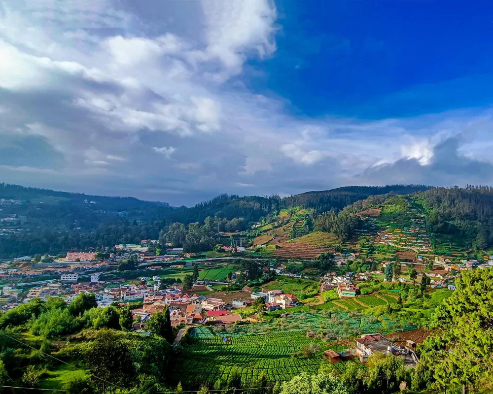 Ooty valley with tea terraces and hillside homes